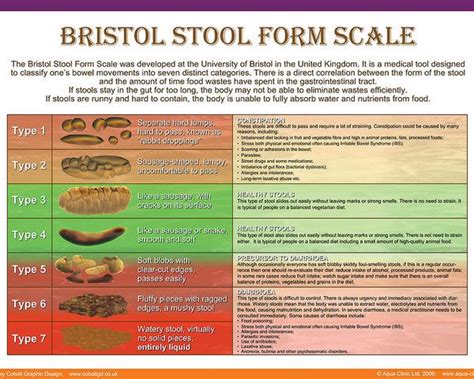 Bristol Stool Chart Poster Stools Item