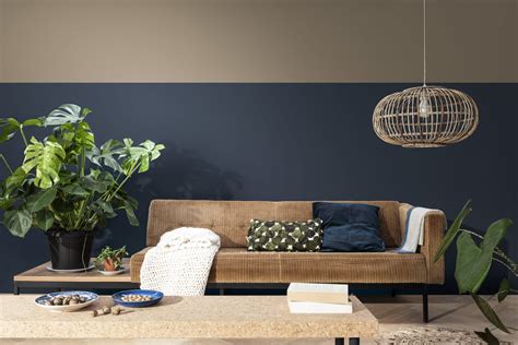 Dulux Reveal 2021 Colour Of The Year Brave Ground The Hardware Journal