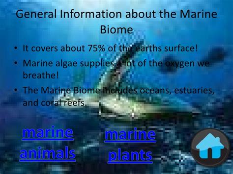 Interesting Facts About The Marine Biome