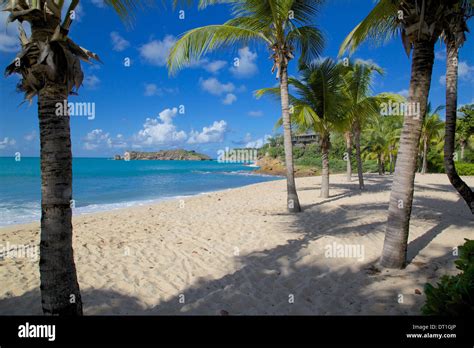 Galley Bay And Beach St Johns Antigua Leeward Islands West Indies