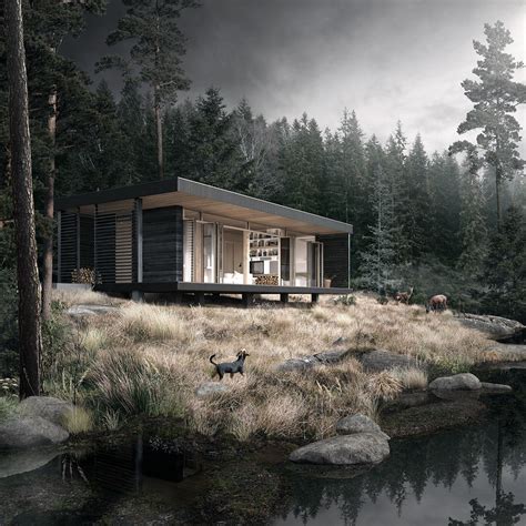 Project And Render Of A Small Lake Cabin In The Woods Near Augustów