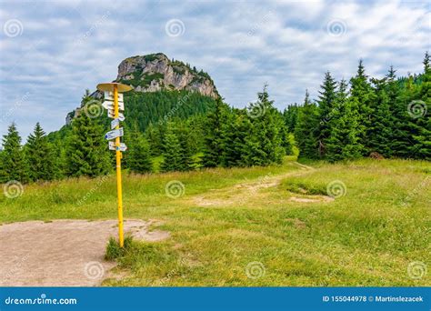 Tourist Pointer Placed On Meadow Near Maly Rozsutec Mountain In