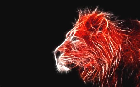 Lion On Fire Wallpapers Wallpaper Cave