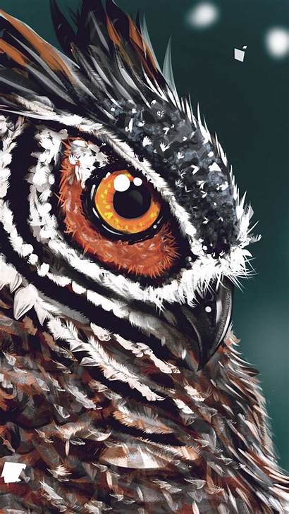 Owl Bird Galaxy Head Htc Beak Eye