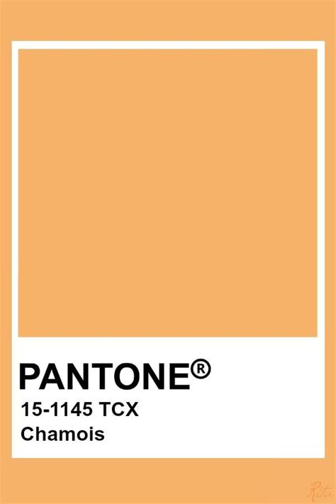 Pantone Chamois Pantone Orange Pantone Colour Palettes Pantone Color