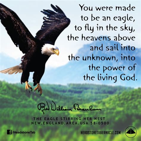 Https://tommynaija.com/quote/fly With The Eagles Quote