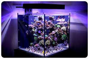 Stunning Cube Aquarium with LED Lighting Flickr Photo Sharing!