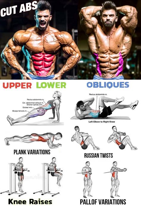 Best Upper And Lower Ab Exercises Off