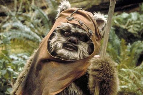 Cutest Star Wars Creatures Ranked Are Ewoks Droids Or Porgs Most