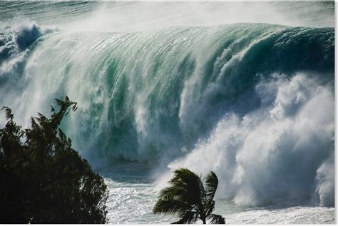 Sok hasonló jelenet közül választhat. 70-foot waves hit Hawaii -- Earth Changes -- Sott.net