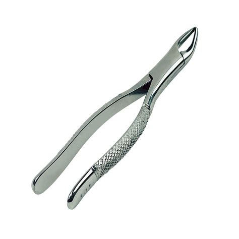 Dental Extracting Forceps 101 Dental Surgical Instrument Surgical Mart