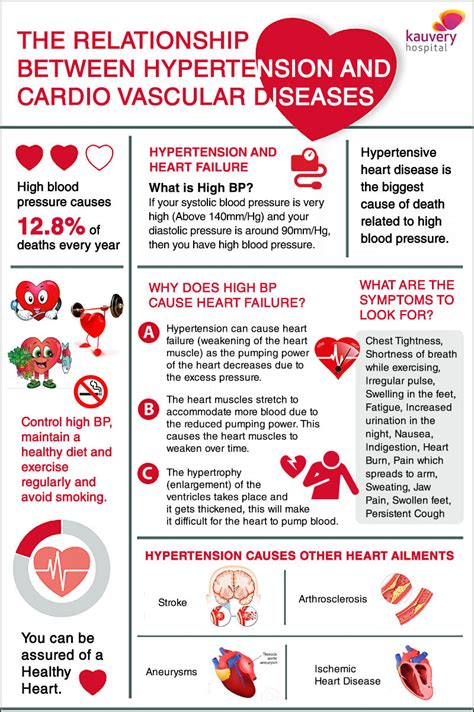 The Relationship Between Hypertension And Cardio Vascular Diseases