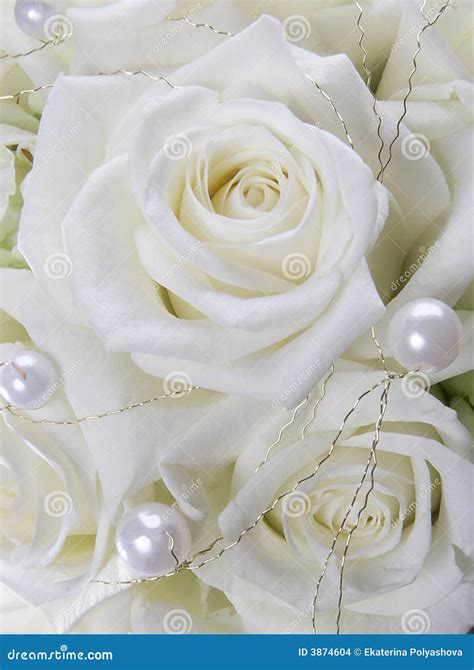White Roses And Pearls Stock Photo Image Of Glamour Fresh 3874604