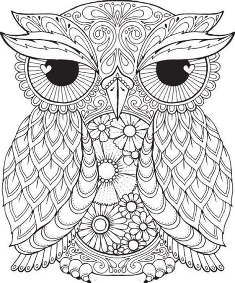 178 Best Images About Owls On Pinterest Coloring Owl Cupcakes And