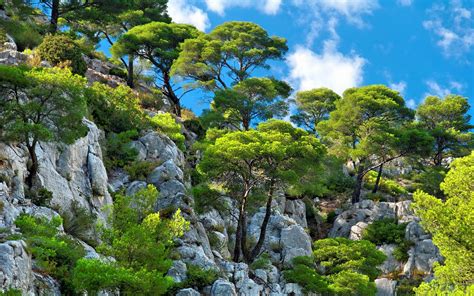 Nature Landscape Clouds Mountain Trees Cliff Shrubs Blue White