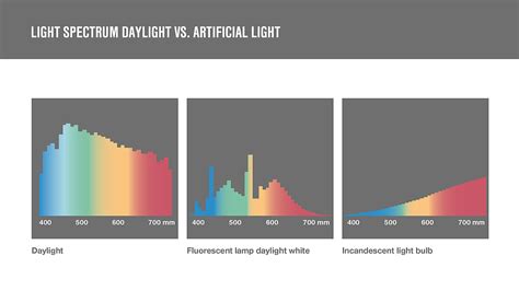Artificial Light Vs Daylight The Differences Insights By Lamilux