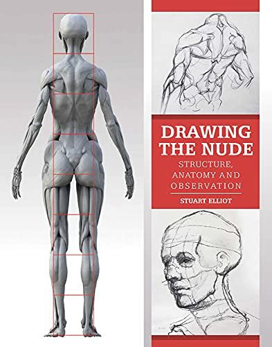 Drawing The Nude Structure Anatomy And Observation Amazon Com Br