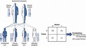 Patterns Of Inheritance Bio103 Human Biology