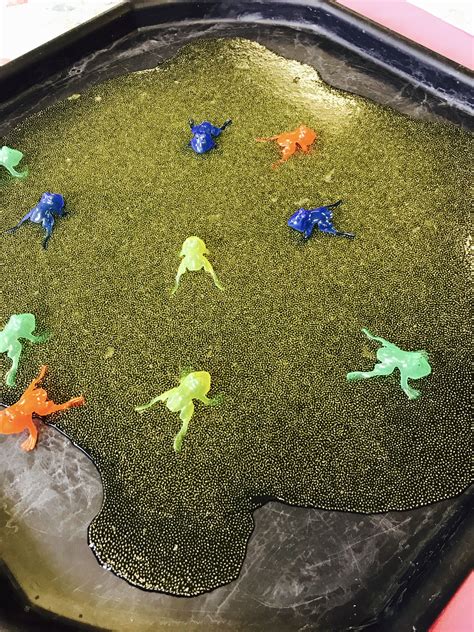 Chia Seed Frogspawn And Frogs Frog Crafts Frog Activities