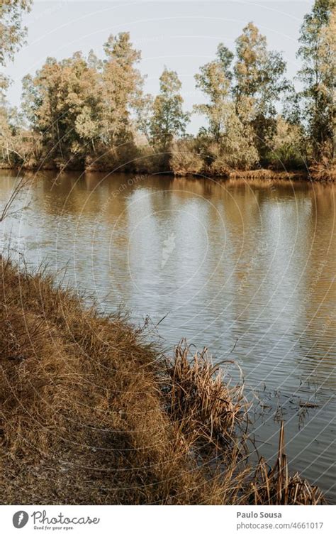 Riverbank Landscape A Royalty Free Stock Photo From Photocase