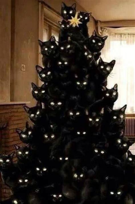 20 black christmas tree with gothic style. scary-cat-gothic-christmas-tree