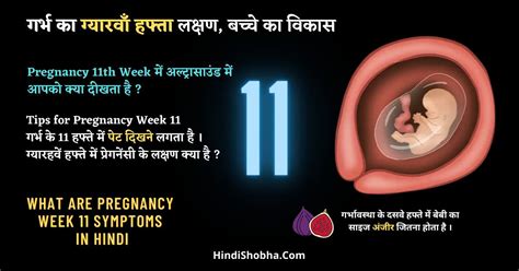 Pregnancy Week Pregnancy Week Symptoms In Hindi