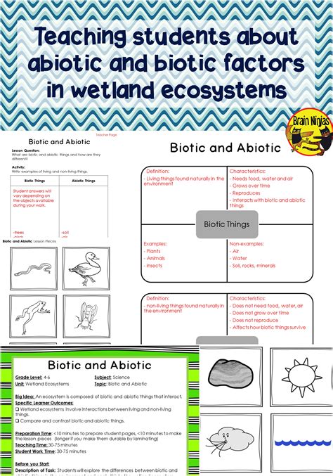 Particularly, this inb (interactive notebook) deals with topics like biotic and abiotic factors, biodiversity, earth's biomes, natural selection, organism relationships, primary and. Teach child how to read: Printable Worksheets On Wetlands Pdf