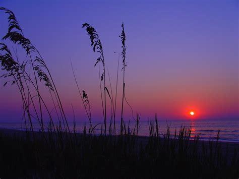 Filemyrtle Beach Sunrise1 Wikimedia Commons