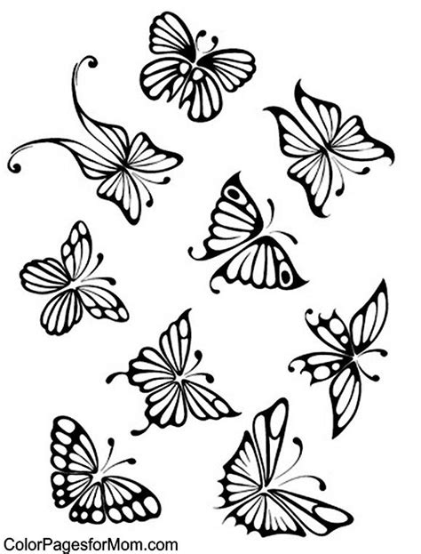 The little butterfly and the flowers. Butterfly Coloring Page 53 | Butterfly coloring page ...