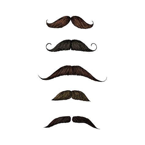 Hand Drawn Sketch Of Mustaches Download Free Vectors Clipart