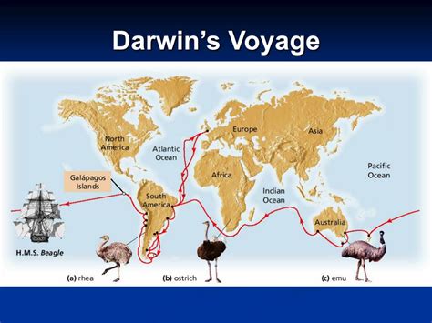 What Did Charles Darwin Collect On His Voyage · Memerest