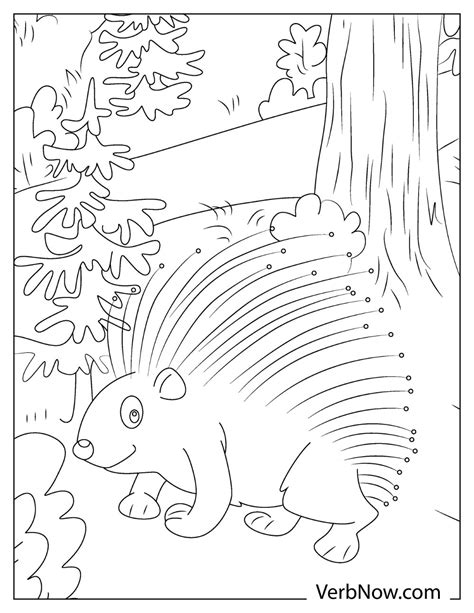 Porcupine Coloring Page Chapters Site