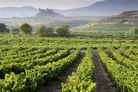 Visit The Vineyards In La Rioja Spain Rioja In Style
