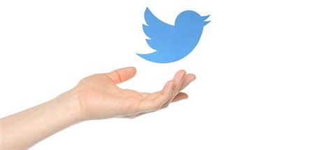 Is Twitter The Best Social Media Platform For Your Start Up