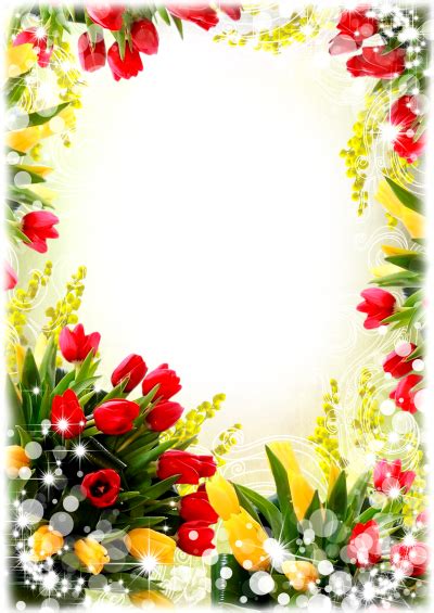 How do florists keep flowers fresh? Floral frame PNG