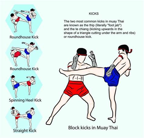 Muay Thai Techniques All Muay Thai Moves At A Glance Muay Thai