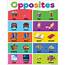 Colorful Opposites Chart  TCR7496 Teacher Created Resources