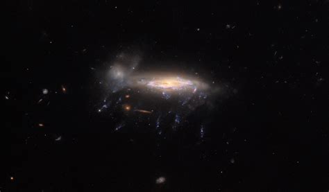 Hubble Space Telescope Spies Jellyfish Galaxy Edge On Scinews