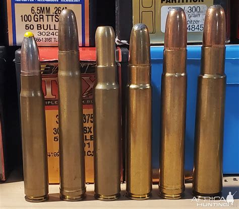 93x62 375 Handh 375 Ruger 416 Ruger 416 Rem Mag And 416 Rigby