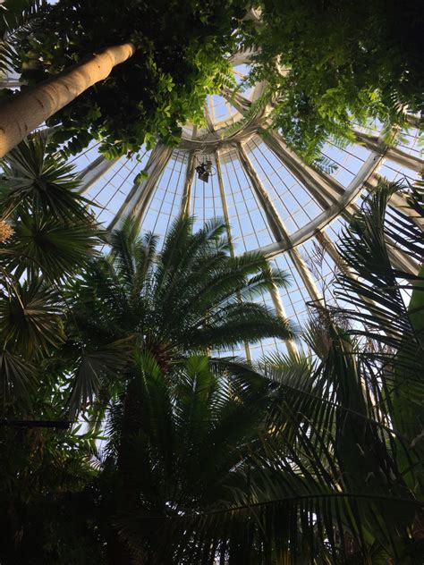 Maybe you would like to learn more about one of these? Botanischer Garten Kopenhagen : Botanischer Garten In ...