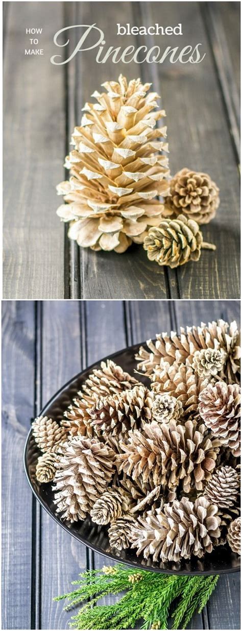 Festive Diy Pine Cone Crafts For Your Holiday Decoration