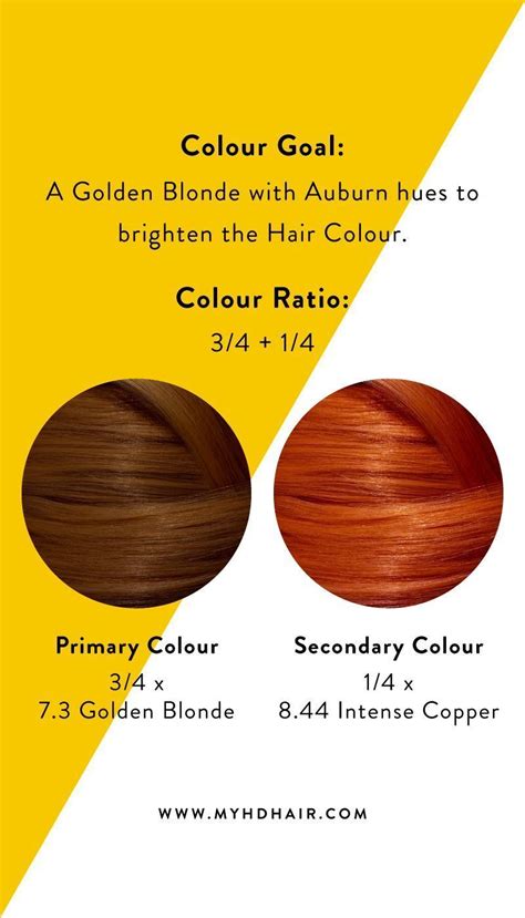 Hair 101 How To Mix Two Hair Colours Together Copper Blonde Hair Red Copper Hair Color 2