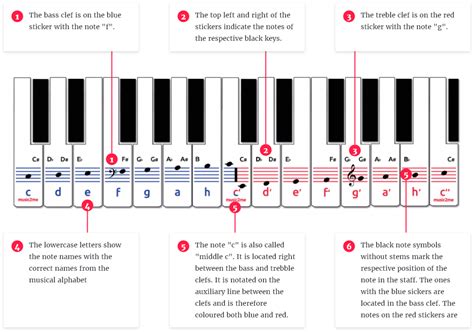 Piano stickers with smooth surface, make it more comfortable for kids ♬【easy to read】key stickers for piano with colorful and bright design, can attract children's attention and make it more easier to read the key. Piano Sticker Set - music2me