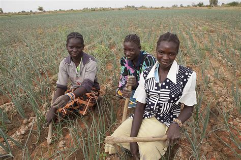 fighting poverty and hunger through land rights and irrigation millennium challenge corporation