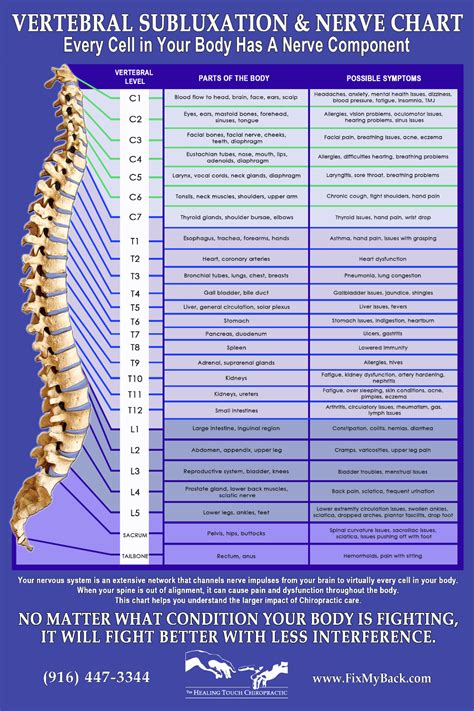 Nerve Chart Chiropractor In Sacramento Ca The Healing Touch