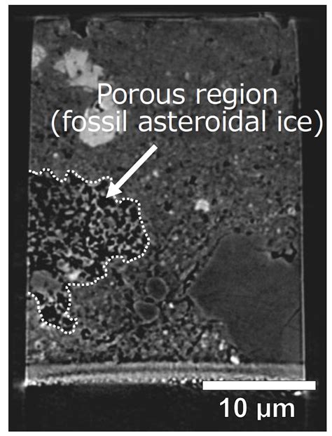 Researchers Discover Asteroidal Ice Fossils In Primitive Meteorite