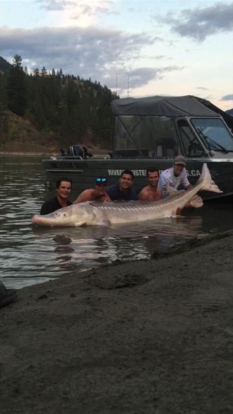 Mountain Mann Survival: Canadian Fishing Guide Catches Giant 650