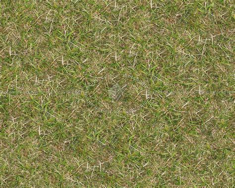 Green Grass Texture Seamless 13015