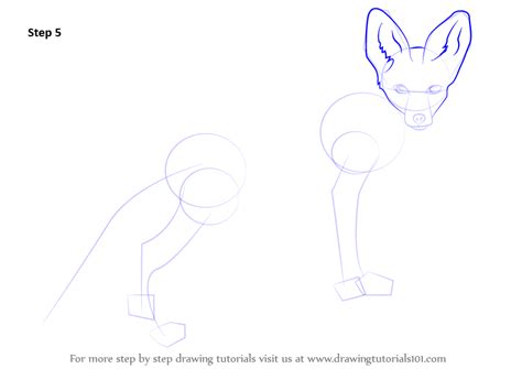 Learn How To Draw A Kit Fox Wild Animals Step By Step
