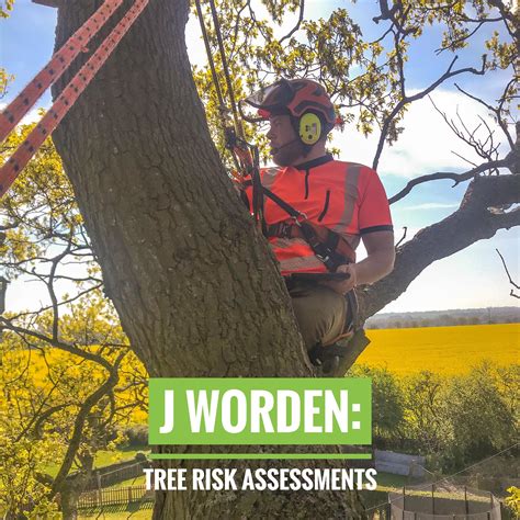 J Worden Tree Risk Assessments Surveyors Arbtalk The Social